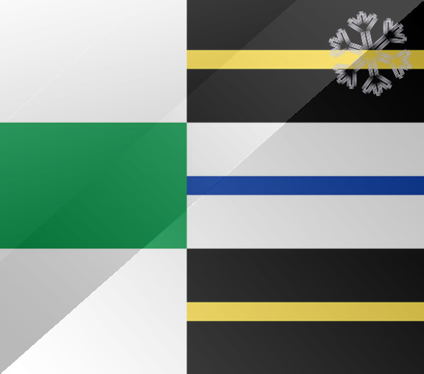 De vlag van Stadskanaal
